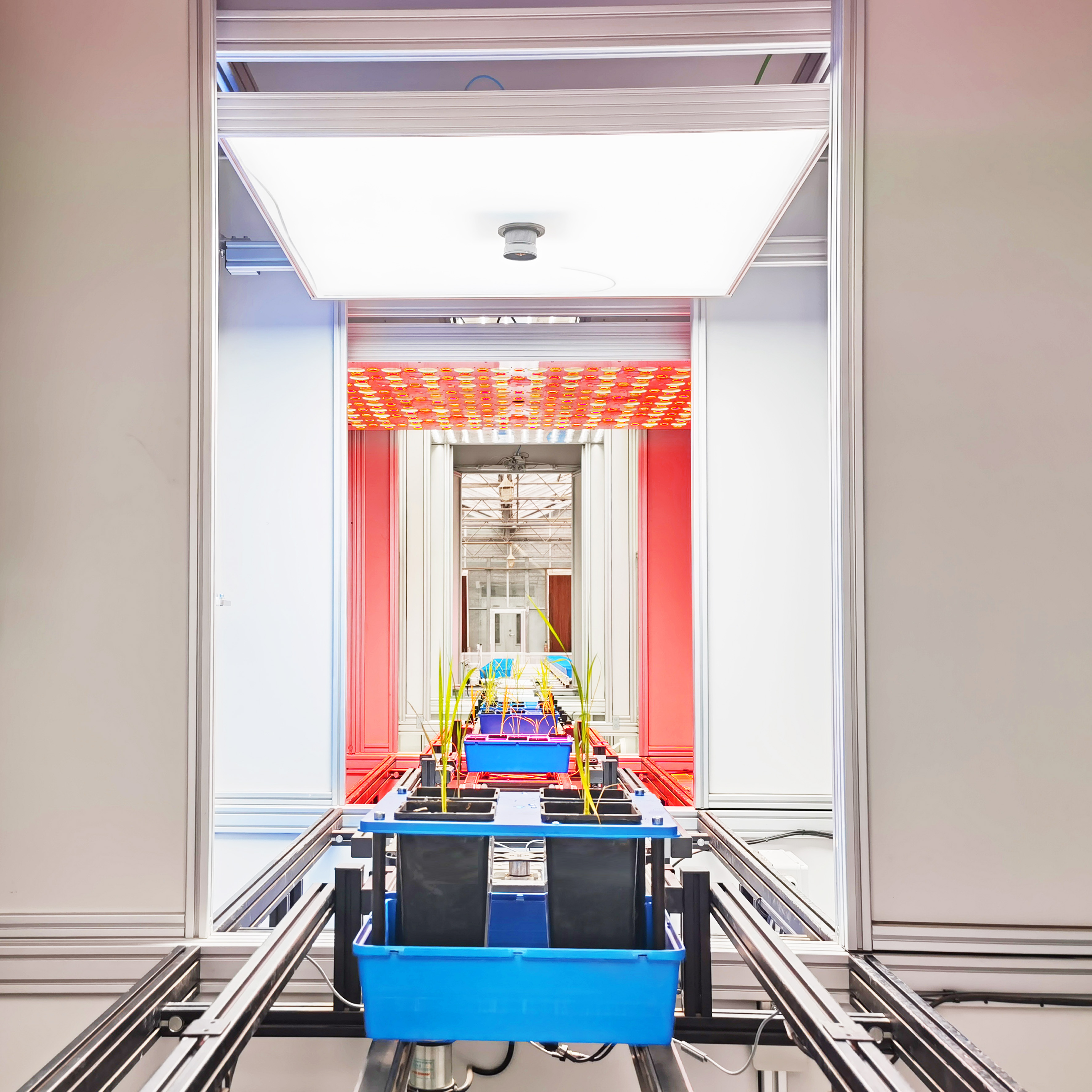 PlantScreen高通量植物表型成像分析平臺(tái)（傳送帶版）（二）