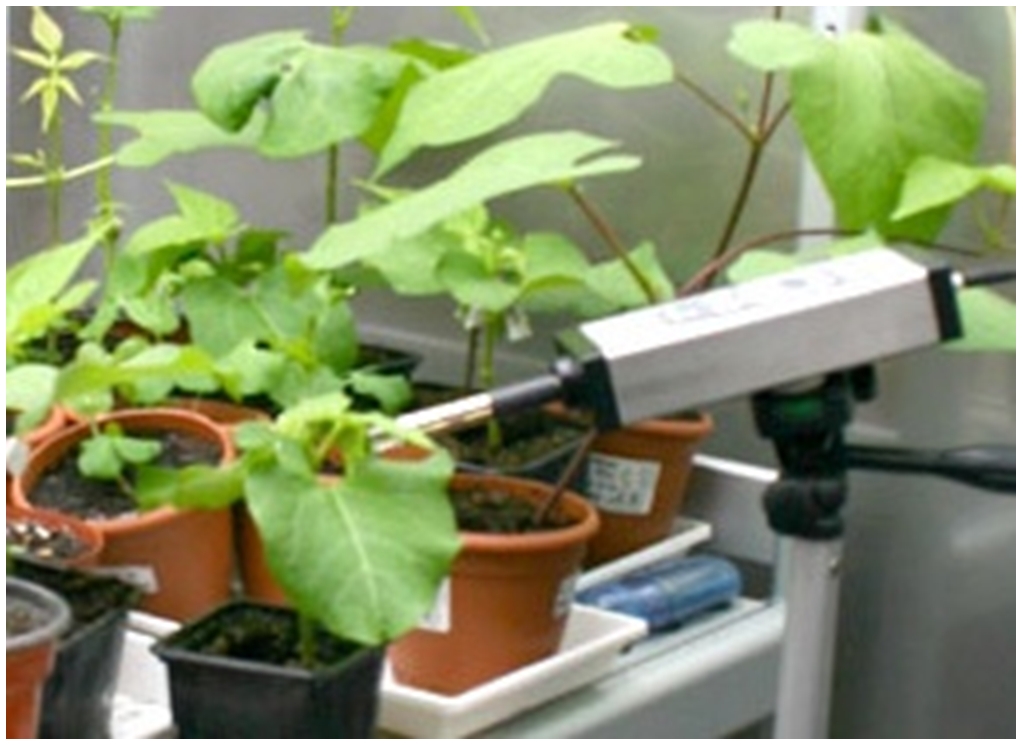 ET-LEDIF植物冠層葉綠素熒光連續(xù)監(jiān)測系統(tǒng)