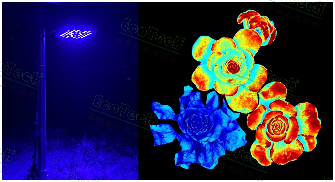 易科泰提供光合作用測量全面解決方案