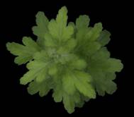 clip_image004.jpg ../../../../../../../Desktop/市場營銷/2018/快訊/Robin%20PSI/06