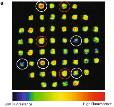 圖片1.png 圖片1.png