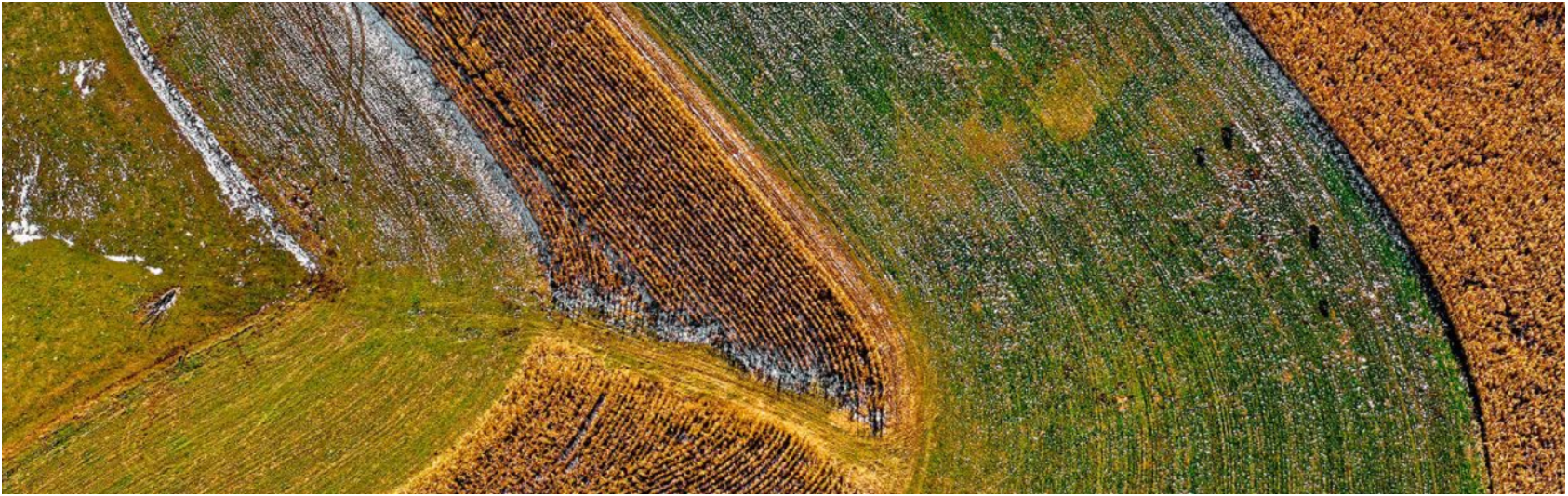 微信截圖_20220429114901.png 微信截圖_20220429114901.png