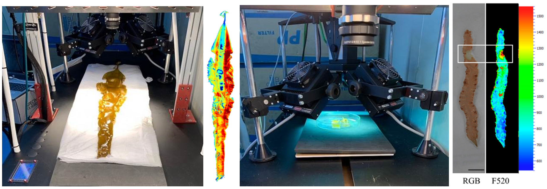 微信截圖_20230128093421.png 微信截圖_20230128093421.png