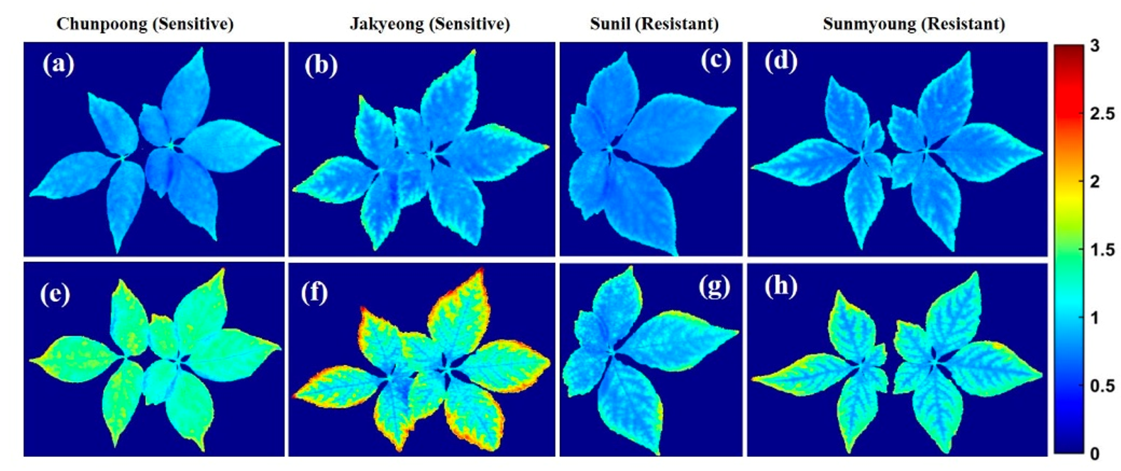微信截圖_20230818140352.png 微信截圖_20230818140352.png