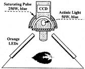 clip_image002.jpg Nedbal 2000-sml