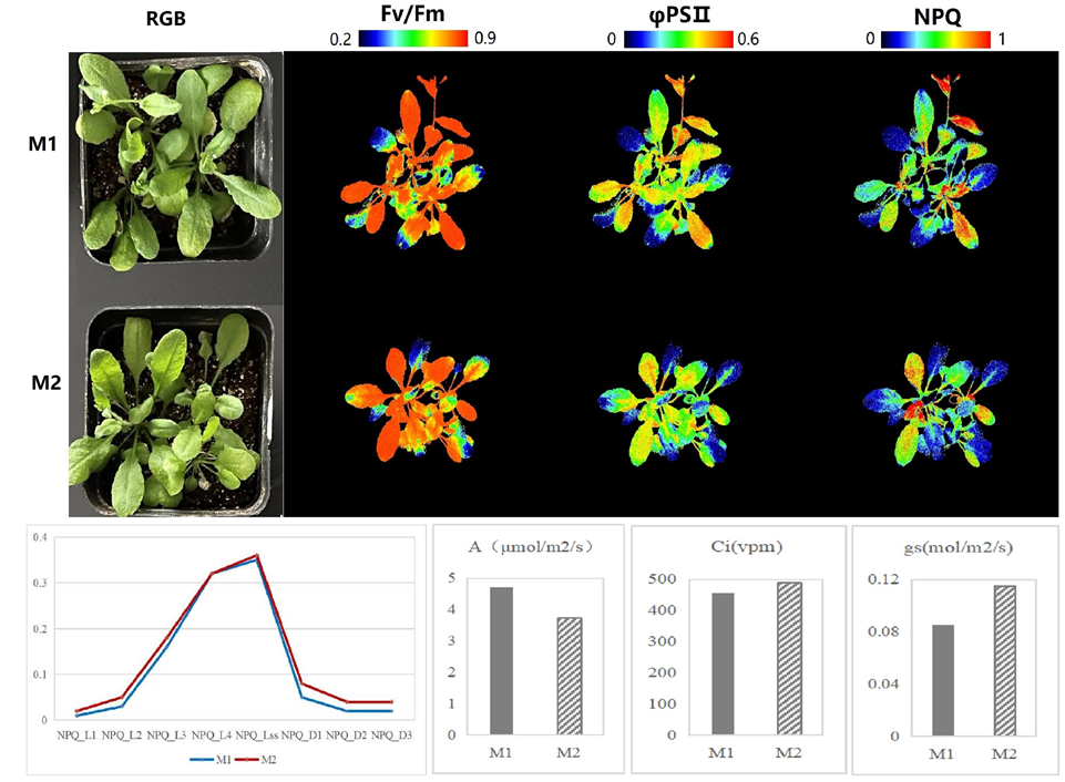 微信截圖_20230118095924.png 微信截圖_20230118095924.png