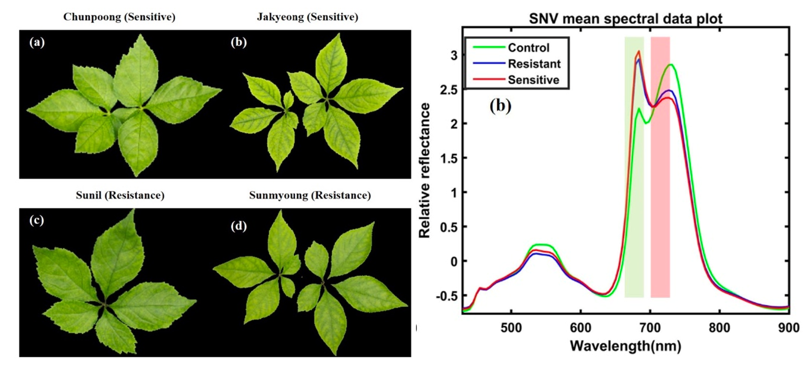 微信截圖_20230818140339.png 微信截圖_20230818140339.png