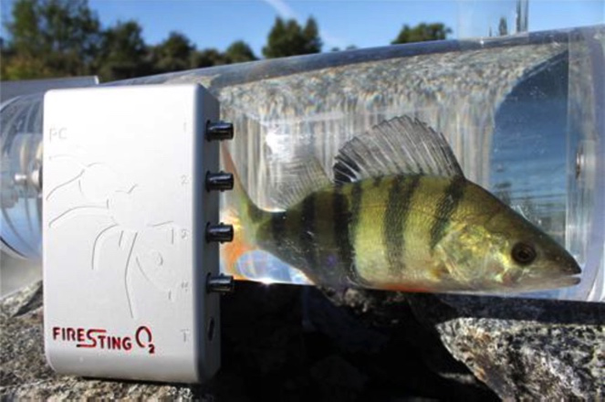 圖片77.png 圖片77.png