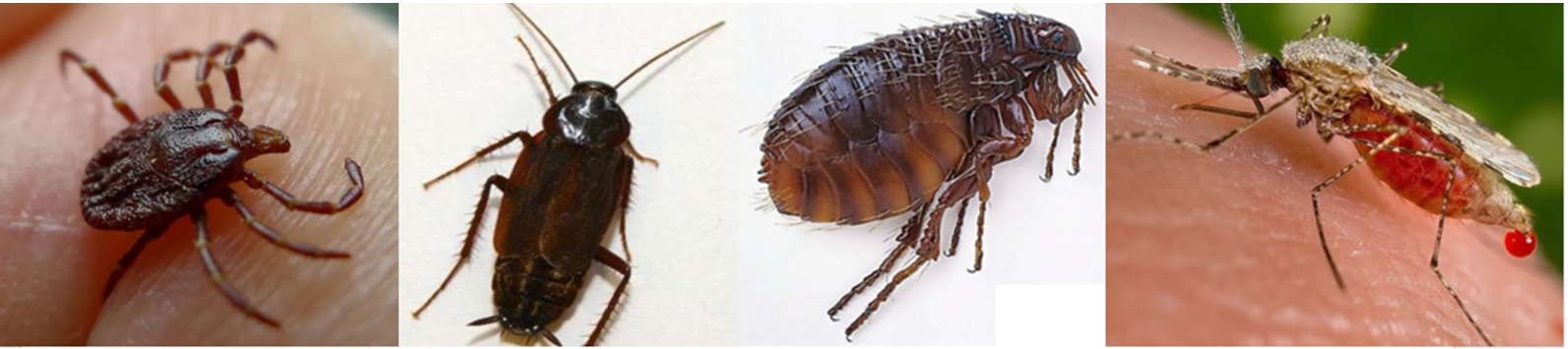 微信截圖_20220526092848.png 微信截圖_20220526092848.png