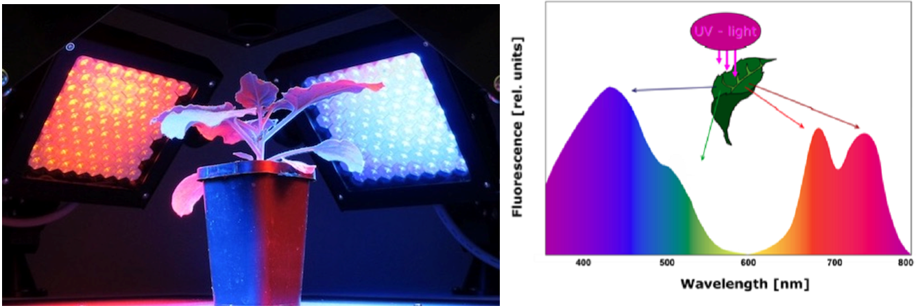 微信截圖_20230128093334.png 微信截圖_20230128093334.png