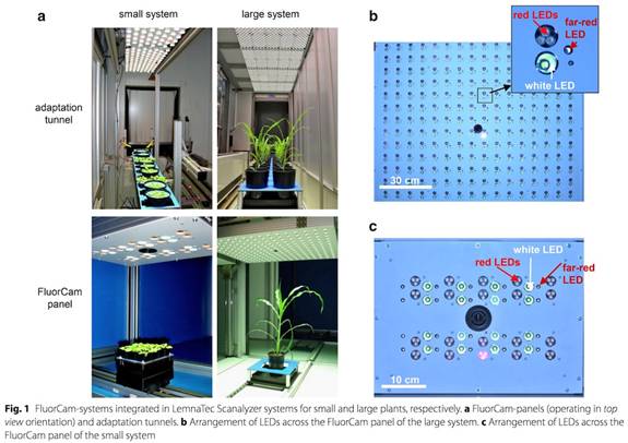 clip_image010.jpg ../../../產(chǎn)品技術(shù)/熒光技術(shù)/PSI/Phenotyping/參考文獻/PlantScreen參考文獻/IPK-2017/0101-sm.jpg