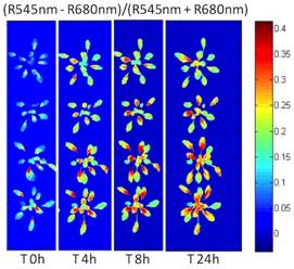 clip_image018.jpg ../../../產(chǎn)品技術(shù)/熒光技術(shù)/PSI/2016/PlantScreen/Klara來訪/PSI中心合作項目/Hyperspectra-1sm.jpg