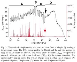 Macintosh HD:Users:cqyu:Desktop:Ecotech-Suppliers:北美:Sablesys.com:Reference:昆蟲等無脊椎動(dòng)物:果蠅呼吸:果蠅熱耐受性－sm.jpg