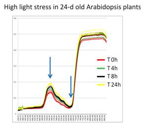 clip_image020.jpg ../../../產(chǎn)品技術(shù)/熒光技術(shù)/PSI/2016/PlantScreen/Klara來訪/PSI中心合作項目/Hyperspectra.jpg