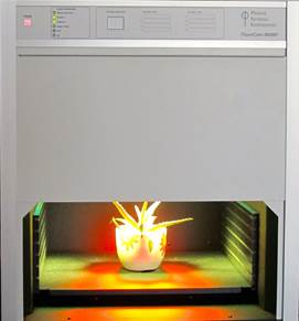 clip_image008.jpg IMG_7994-sml