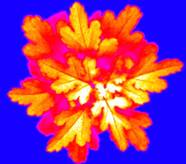 clip_image006.jpg ../../../../../../../Desktop/市場營銷/2018/快訊/Robin%20PSI/05