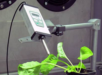 Monitoring Pen MP100葉綠素?zé)晒庾詣?dòng)監(jiān)測儀